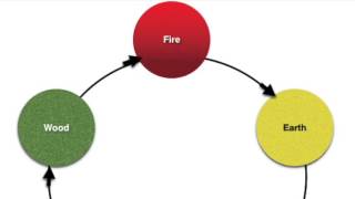 Five Element Theory Wealth