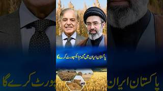 Pakistan to export wheat to Iran | SPD #shorts #iran #pakistan