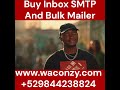 bulk SMS and WhatsApp sender platforms designed for large-scale campaigns. With waconzy.com