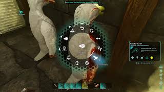 Ark Survival Ascended Cheap Polymer Farm