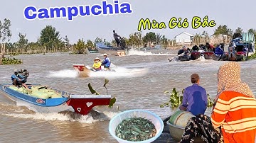 Con nước cá đi xóm Việt Kiều Campuchia Chạy lũ săn cá đồng mùa gió bắc 