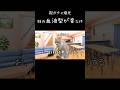 妹の血液型が『ありえない』事になってた件　#猫ミーム #猫ミーム日常 #親ガチャ　#shorts