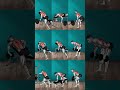 Your ultimate 4 _Day dumbbell split workout #chest_triceps #Back biceps #leg Abs # Shoulder Arms💯🙏🔥💪