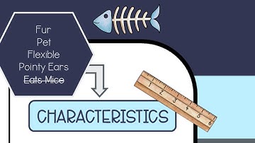 Example of a Frayer Model