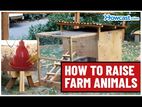 How to Raise Farm