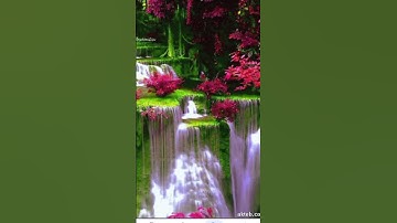 #القارئ_شريف_مصطفى #القران_الكريم #تلاوة_هادئة سوره عَبَِسَ