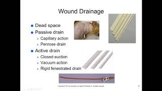 McCurnin's Chapter 28, Wounds and Bandaging