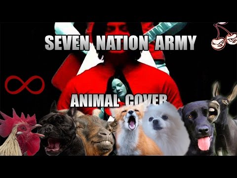 the-white-stripes---seven-nation-army-(animal-cover)