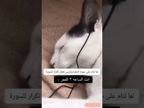 للمعلومية انا مو قاعد استهزاء والله اني توني مصلي الفجر بل مسجد