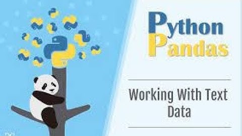 How to import Excel file in Python using Pandas