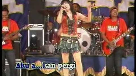 dangdut palapa-bukankah kau tau
