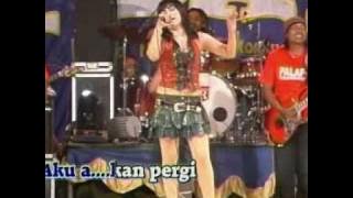 dangdut palapa-bukankah kau tau