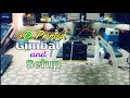3D Printed || Homemade Gimbal and Setup || by Atechtechnology