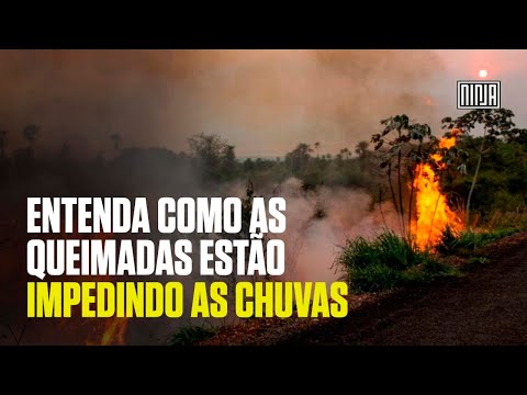 Vídeo: Por Que Um Espantalho é Queimado No Entrudo