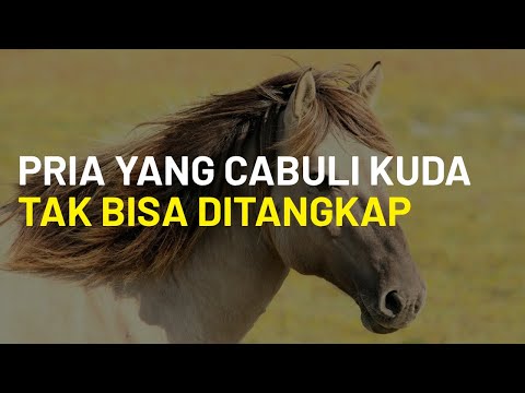 Video: Perlukah seekor kuda ditambat?