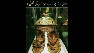 Video Thumbnail for things prophet Muhammad wo Mera nabi hai naatsherriff #dp...