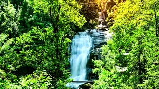 One Hour  | The Sound of Inner Peace 5 | Relaxing Music for Meditation, Yoga & Stress Relief by Dream Reality Meditation Music 263 views 5 months ago 1 hour, 1 minute