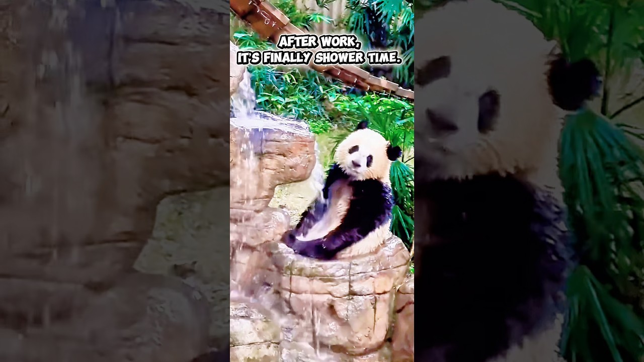 After work, it’s finally shower time. 