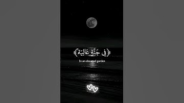 ( في جنة عالية لا تسمع فيها لاغية )  -  القارئ عبدالرحمن مسعد #تلاوة_هادئة