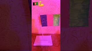 🇦🇫 Amazing Paper Flag Craft | Hand Made Flag Tutorial #Shorts