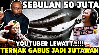 30.000 EKOR SEKALI PRODUK🔴TERNAK GABUS BISA KALAHKAN YUTUBER‼️
