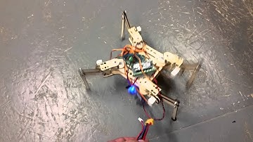 mePed Quadruped Robot First Steps