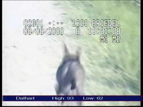 Video: Texas Police Found A Chupacabra? - Alternative View