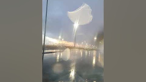 اواخر سوره العنكبوت القارئ ياسر الزيلعي