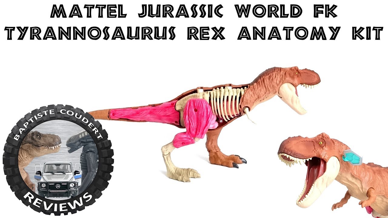 JURASSIC WORLD TYRANNOSAURUS REX ANATOMY KIT 2018 Fallen STEM EUR 100,00 - FR