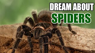 What Does It Mean When You Dream About Spiders? Dream Meanings Explained - Sign Meaning