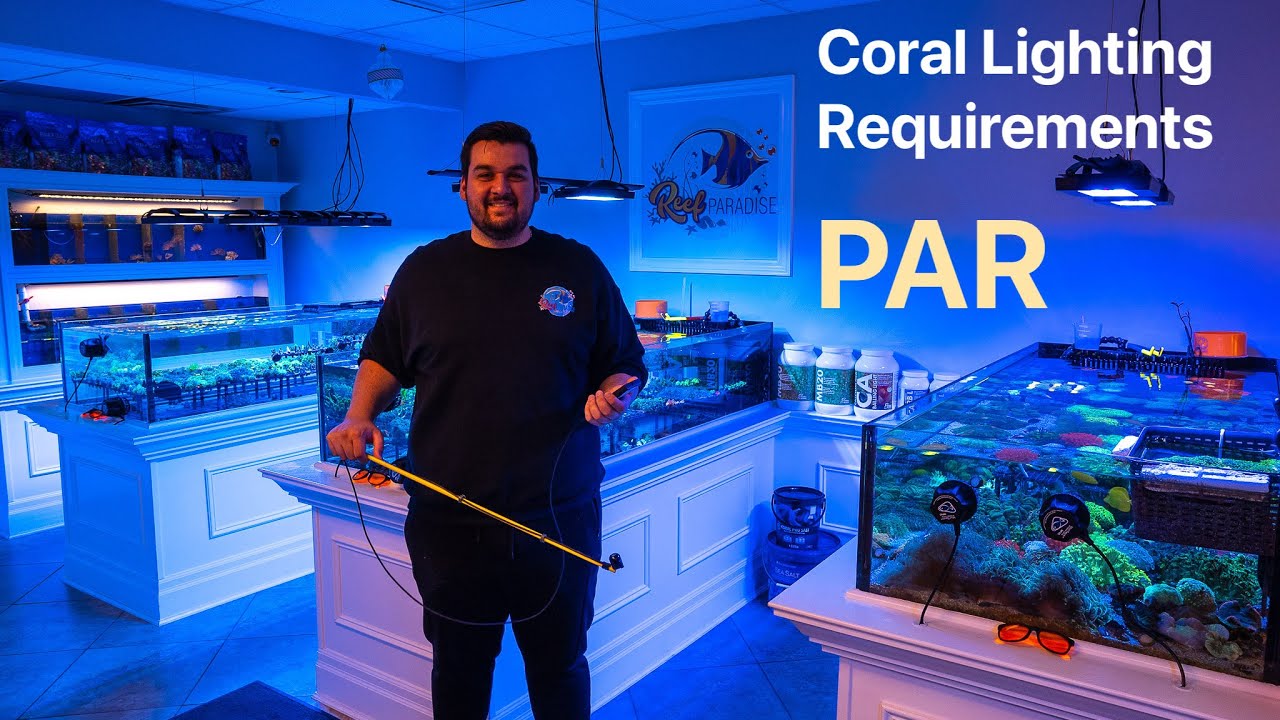 Definitive Lighting PAR Guide