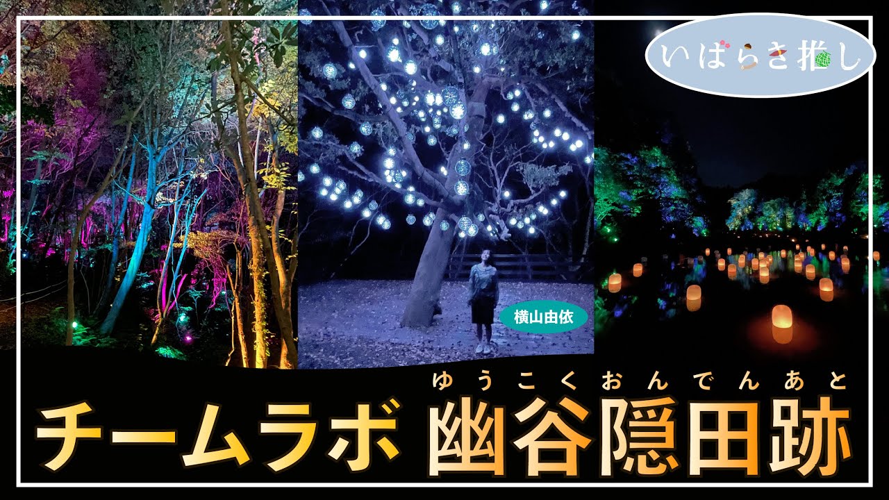 いばらき推し「チームラボ 幽谷隠田跡（北茨城市）」【出演：横山由依】