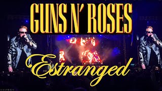 Guns N Roses  Estranged
