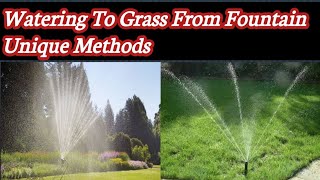 Correct way of watering grass| Education 4 online earning by Education 4 Online Earning 158 views 2 years ago 1 minute, 49 seconds