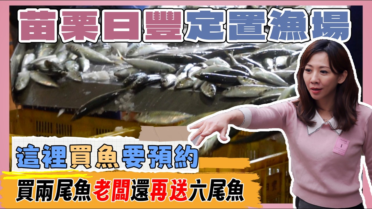 苗栗日豐定置漁場丨超神秘預約制丨超友善買魚不推不搶丨隱藏版漁場超有愛丨這樣買魚還能多送魚給你吃丨