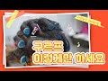 [여자헤어스타일] 구르프 이거만 따라하면 끝!!ㅣ10분안에 끝 구르프 마는 방법! 초단간 핵쉬운 여자 헤어스타일!!