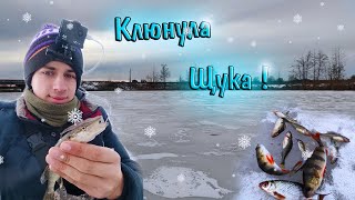 Зимова Риболовля 2022,  Клюнула Щука !!!