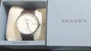 【購入】スカーゲン(SKAGEN)  SIGNATUR SKW6391