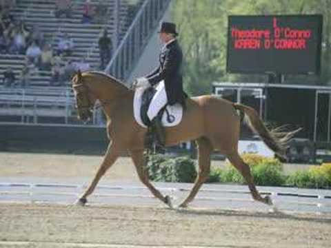 Karen O'Conner & Teddy,Hugh Know Rolex 2008 three day event