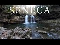 SENECA CREEK | Backpacking in Beautiful West Virginia