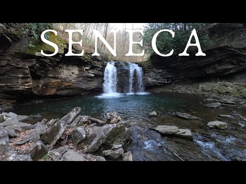 SENECA CREEK | Backpacking in Beautiful West Virgi by Christopher Hu