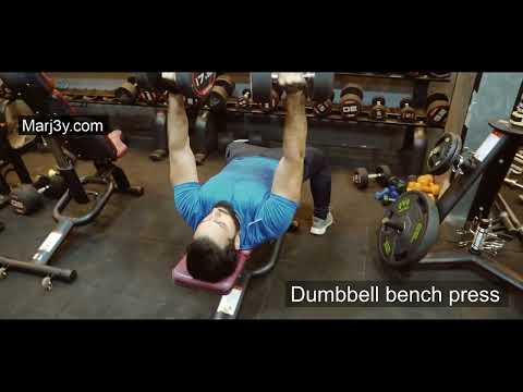 Marj3y - Chest exercises - Dumbbell Bench Press - مرجعى - تمارين الصدر بالدامبل المستوى