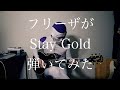 【ハイスタ】フリーザが「Stay Gold」弾いてみた【Hi－STANDARD】:w32:h24