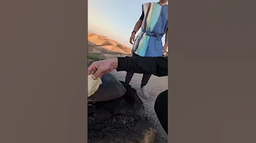 Making Pita In The Judean Dessert Like My Biblical Ancestors 