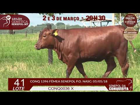 LOTE 41 CONQ 1396