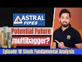Can Astral Polytechnik build your multibagger portfolio? Astral Polytechnik Fundamental Analysis