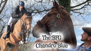 The BFG's New Chapter: A Journey of Love and Retirement