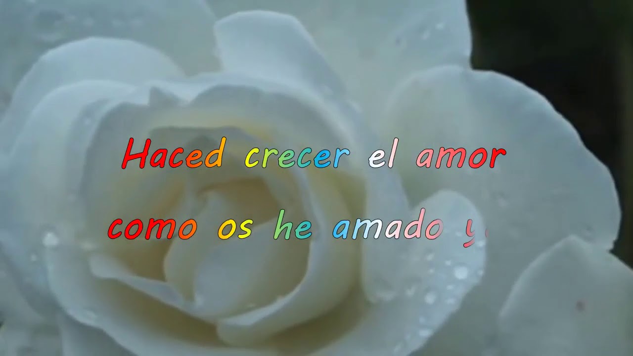 AMAOS (con presentación)