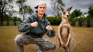 I went to Australia and fought a kangaroo