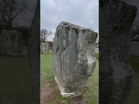Stones of Avebury:
